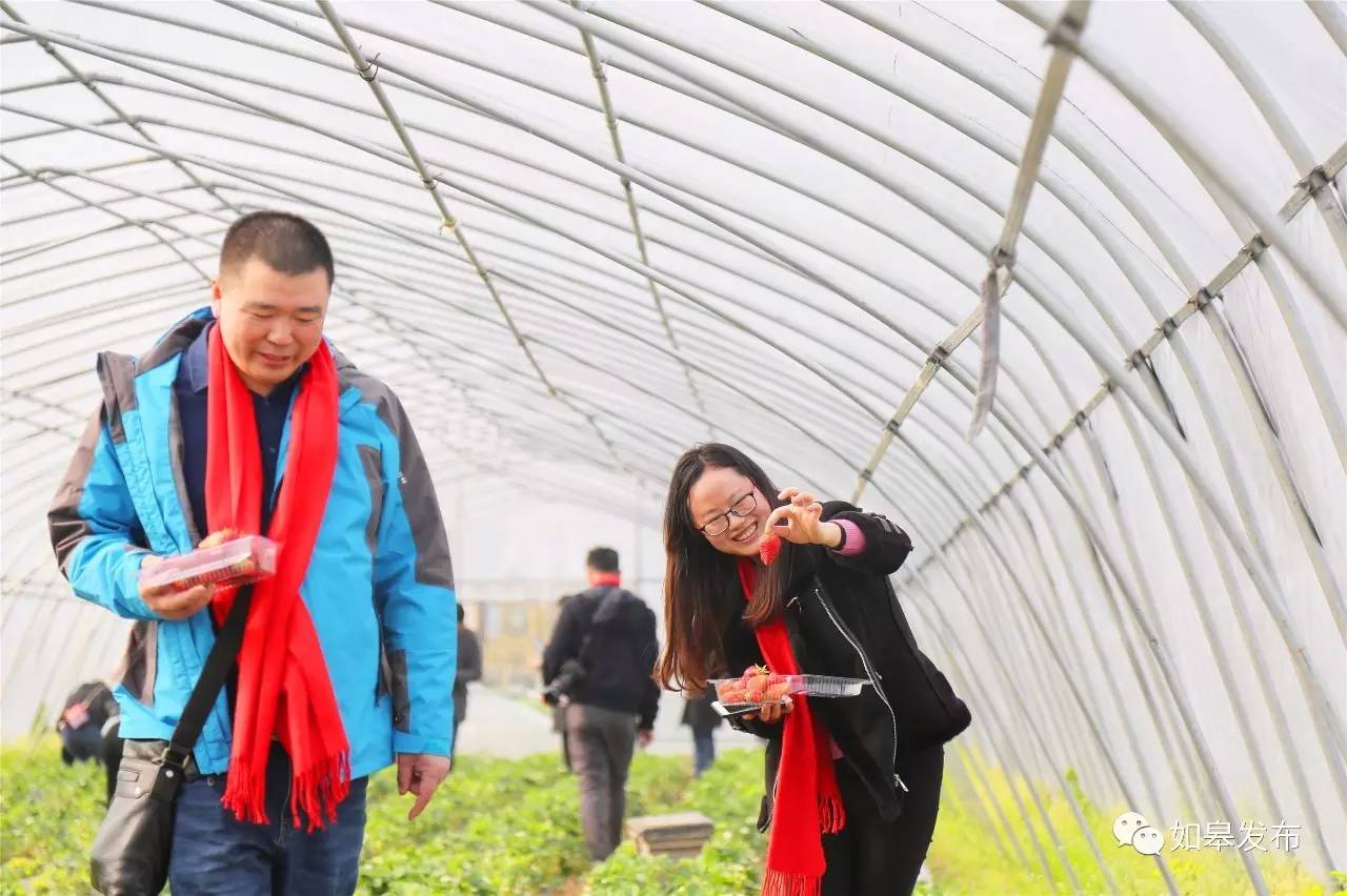 定了!从今天起,如皋白蒲古镇将列入每个人的旅行清单!