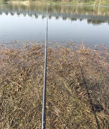 窝料打窝方法视频,黄刺鱼用什么窝料打窝最好