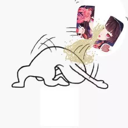 玩了半年的阴阳师,阴阳师太久时间没玩了