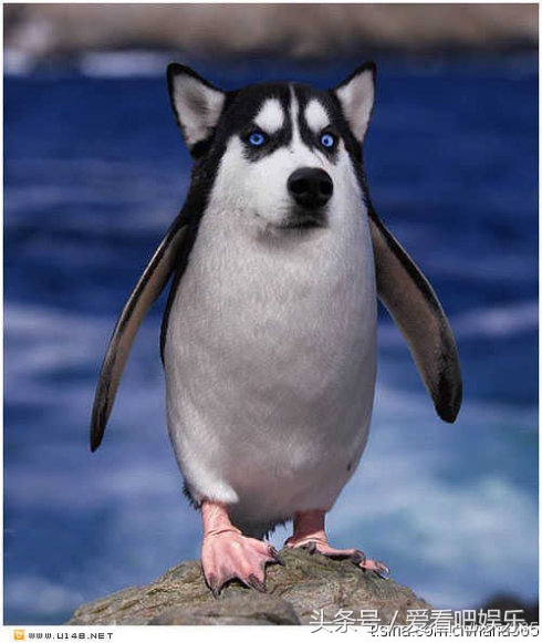 女生在理工大学就读是什么感受,女生读理工大学的感受