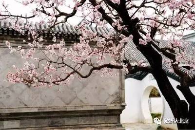 4月整整11天假！瓷器们，这些好消息请查收！