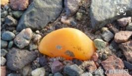 新疆戈壁海蓝宝石一克拉多少钱,新疆阿勒泰戈壁海蓝宝石原石