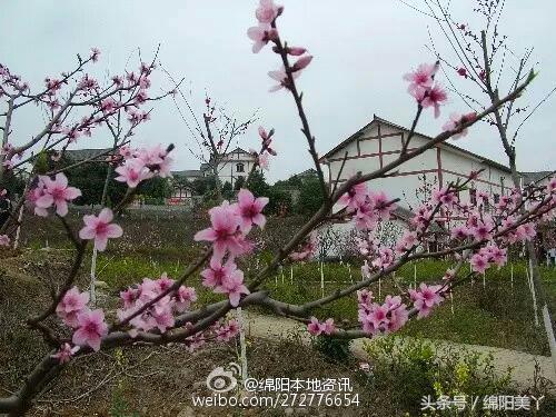 绵阳周边耍雪一日游,绵阳周边一日游最佳方案