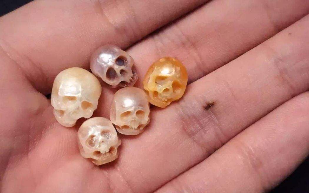 日本珍珠骷髅，将又是生又是死的饰品戴在身上，葬礼艺术作为灵感