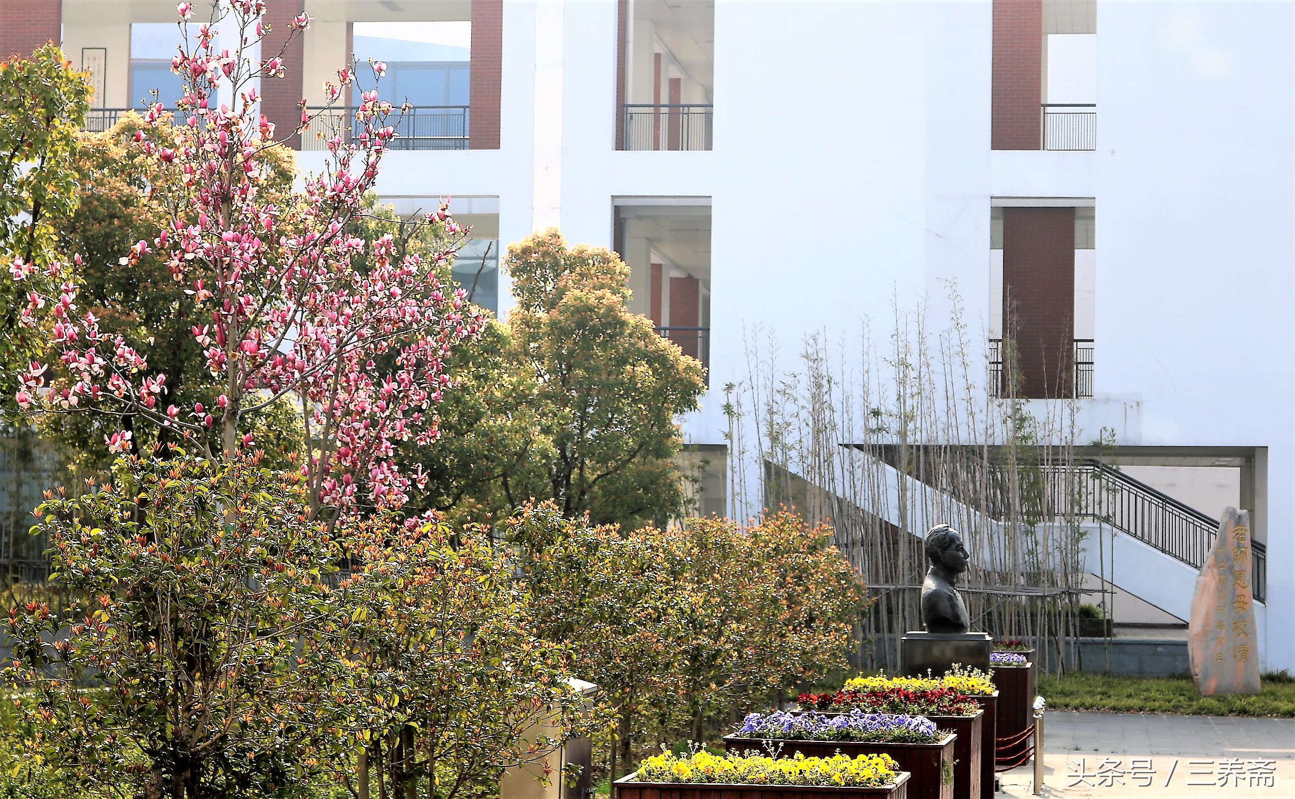 鏄嗗北涓鏍″洯椋庢櫙,鏄嗗北涓鏍″洯鏅壊