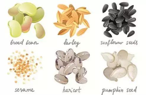 种子种菜阳台教程,阳台种菜种子做法视频教程