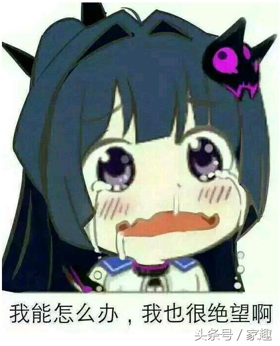 男子吐槽萨摩吃便便，网友坏笑给这建议，超省钱再也不用买狗粮了