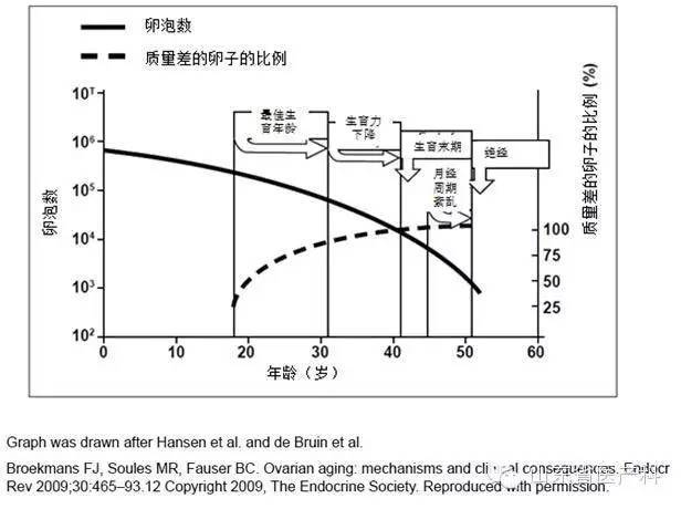 干货女性知识分享,卵子冷知识大全