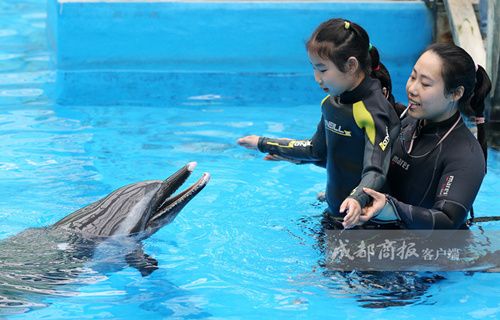 海豚自闭症儿童,自闭症儿童海豚疗法