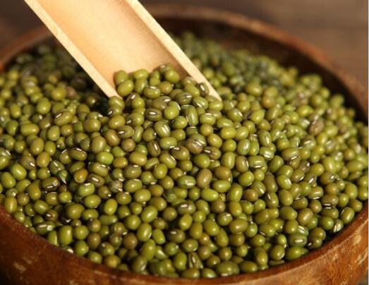 猪吃药后注意事项,猪在生病期间能喂饲料吗