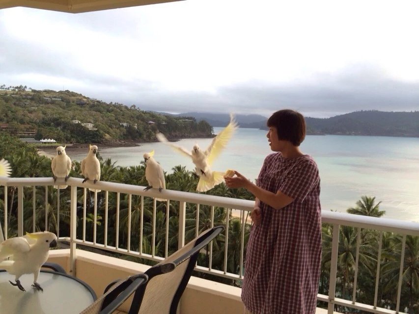 澳洲十日自助游推荐,澳洲10日自由行攻略