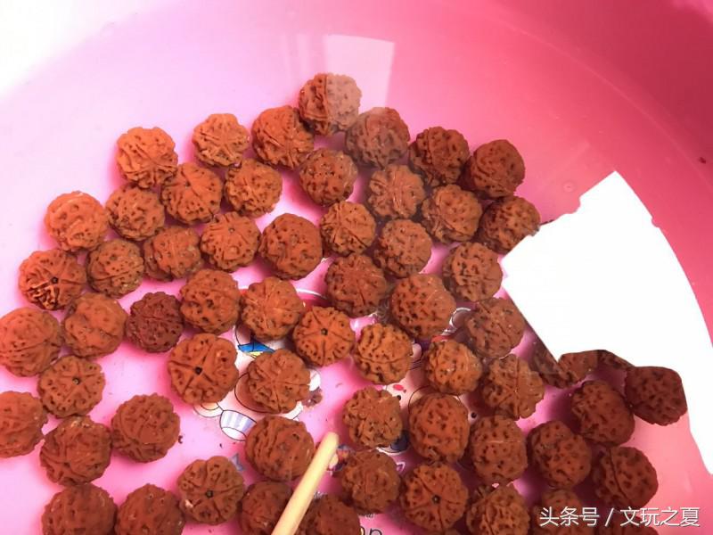 金刚菩提黑色果胶干刷能刷掉吗,金刚菩提干刷多久可以挂瓷