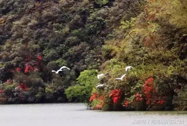 好看的美景推荐第一名,美丽的阳明山处处是美景