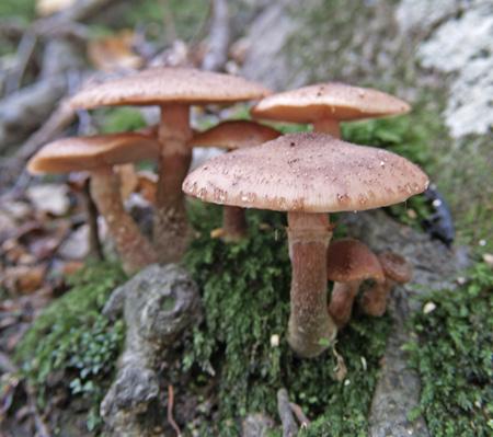 Photoshop设计梦幻边框的详细流程,photoshop项目式教程