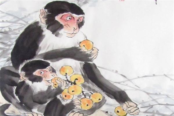 生肖属猴人2016年运势,1980年属猴未来5年运势