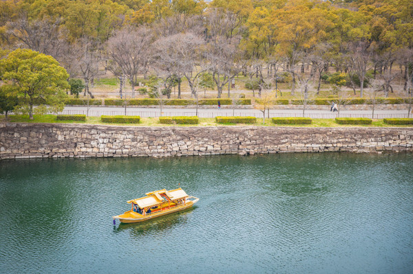 樱花烂漫几多时完整版,日本樱花节赏樱攻略视频大全