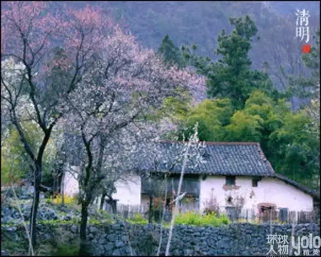 气清景明万物生长意思,清明节风和日丽万物萌生