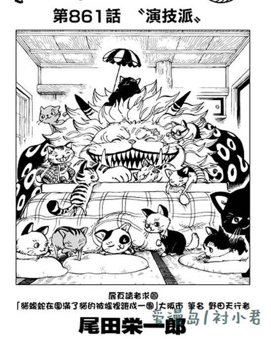 海贼王大妈的情报,海贼王山治大妈篇