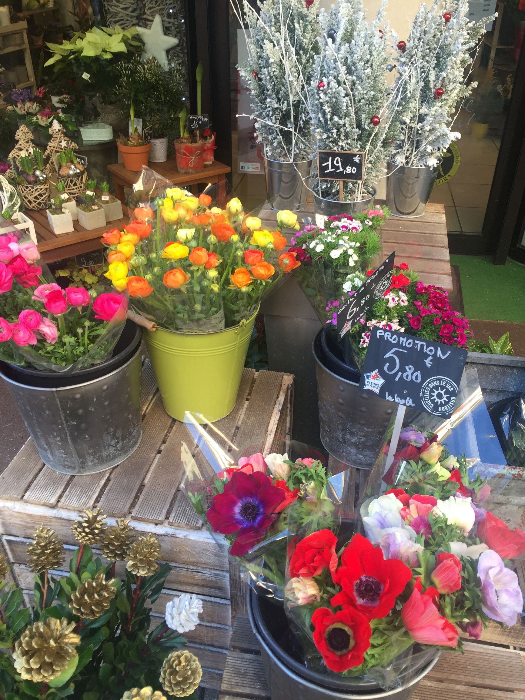 德法瑞意四国十二天游,法意瑞11日自驾游