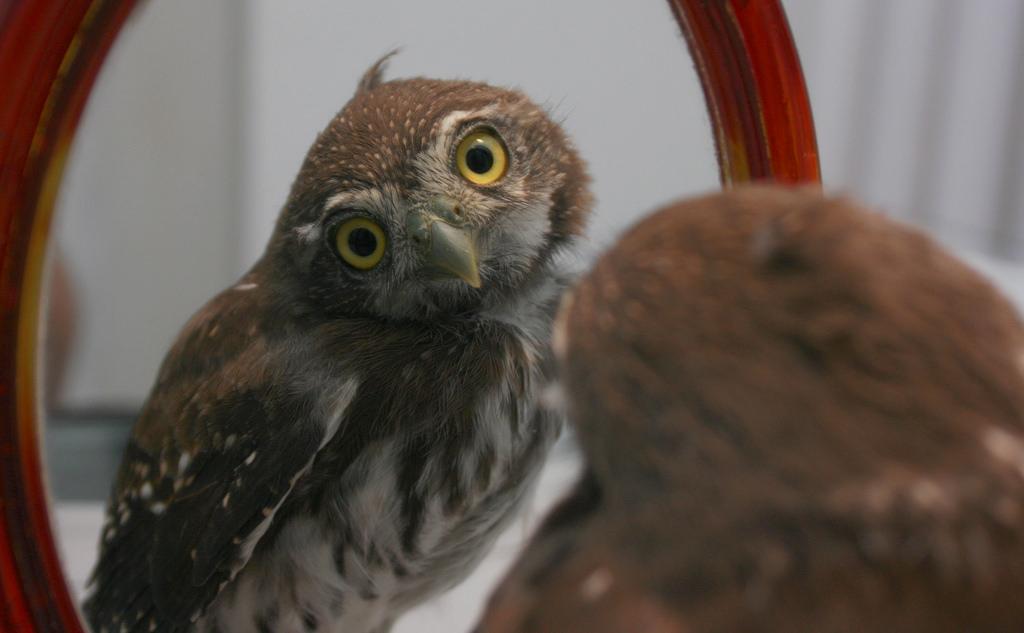 公共免费wifi可以随意用吗,为什么不可以用自家wifi