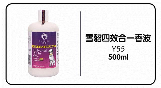 爱妖经养宠怎么玩,爱妖经