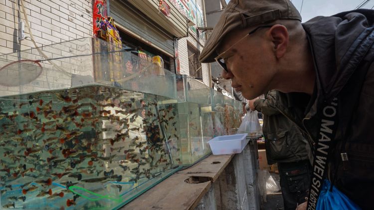 实拍：西安市井的味道