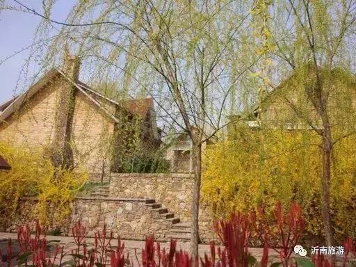 山东沂南秋日花海醉游人,沂南周边看梨花景点