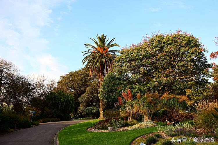 海购值得买的东西,海购优选好物