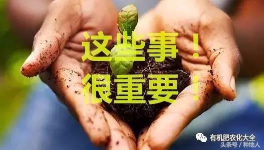 有机肥怎么辨别真假,如何辨别有机肥的真假