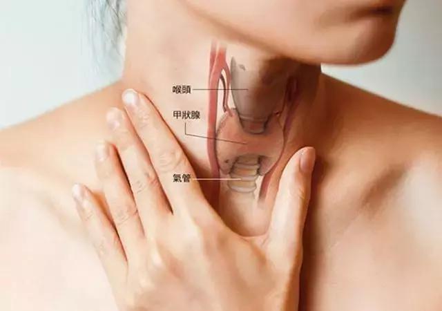 腹泻跟甲亢有关系吗,甲亢会便秘腹泻交替吗