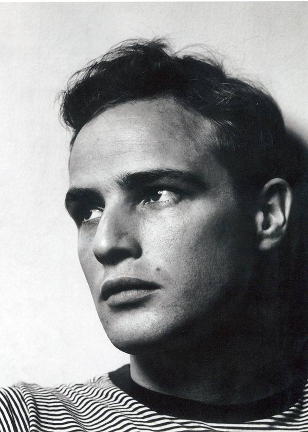 每日花语万寿菊,每日花语蔡依林