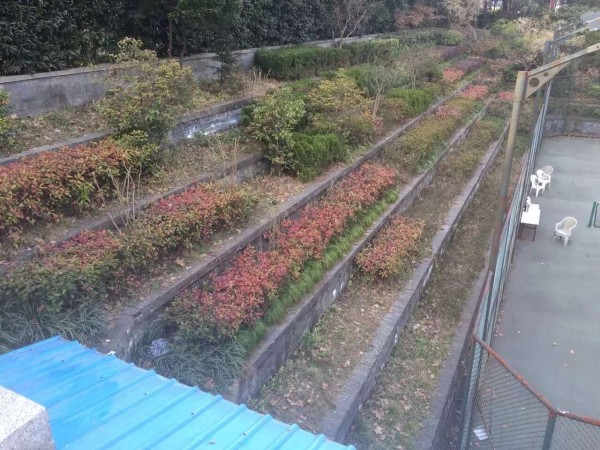 南京有什么老著名企业,七八十年代南京大企业