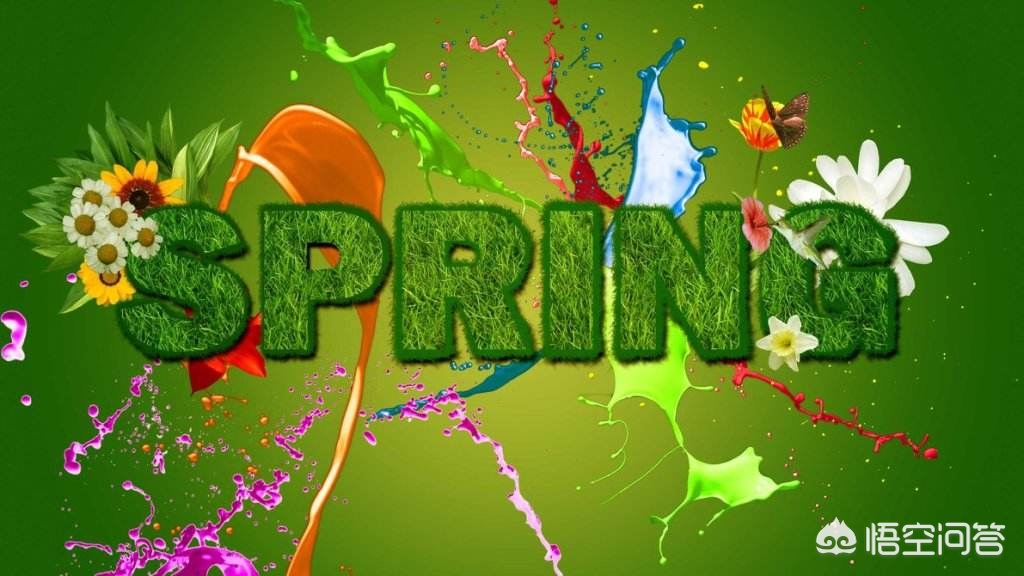 javaweb所涉及的技术和作用,JavaWeb开发实战