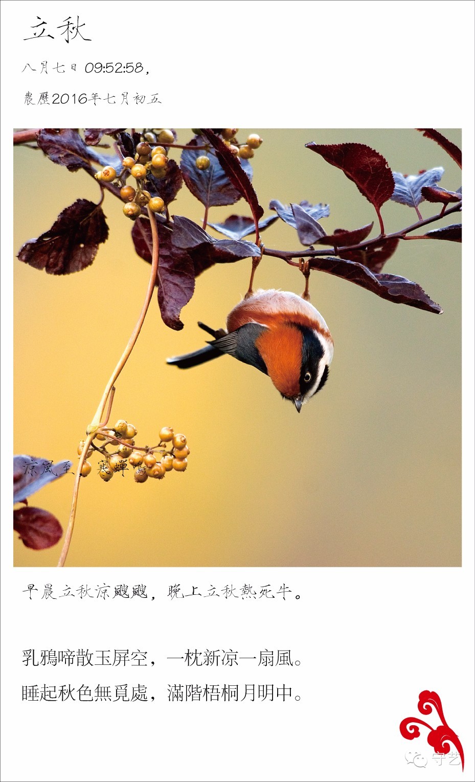 关于二十四节气的风景图片,美图二十四节气