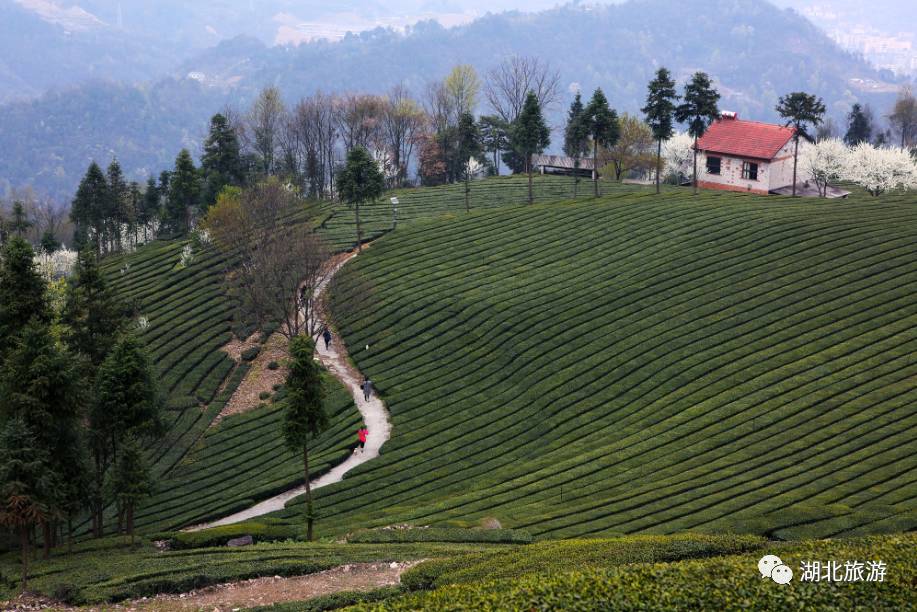 浜斾竴鍘绘櫘娲辫尪灞辨劅鍙楀ぇ鑷劧,娓呮槑鑺傛潵鍒板北閲屼韩鍙楀ぇ鑷劧