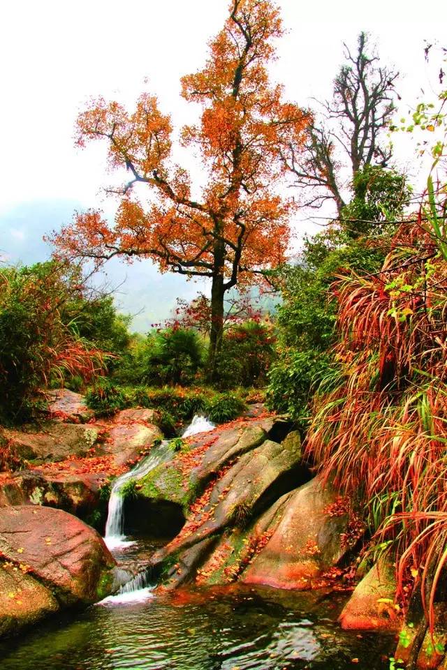 大茅山丨我们不只是红