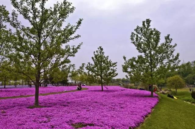 上海奉贤一日游最佳景点一览表,上海宝山区最值得去的五个景点