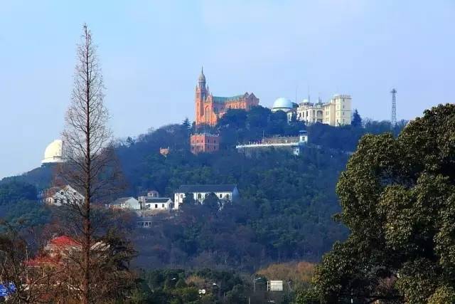 上海奉贤一日游最佳景点一览表,上海宝山区最值得去的五个景点
