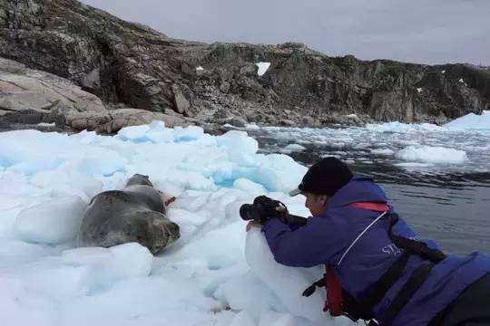 真正的南极风景,去南极可以看到什么风景