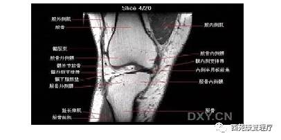 西苑康复理疗,西苑康复医院