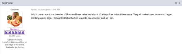 喵对你眨眼睛,猫咪爱上你的套路