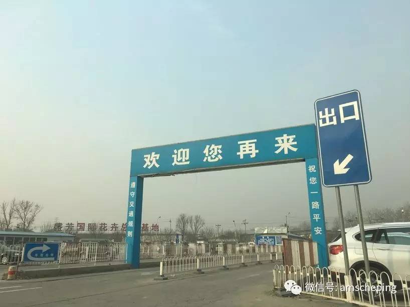 买车在4s店上牌好吗,买车给4s店上牌靠谱吗