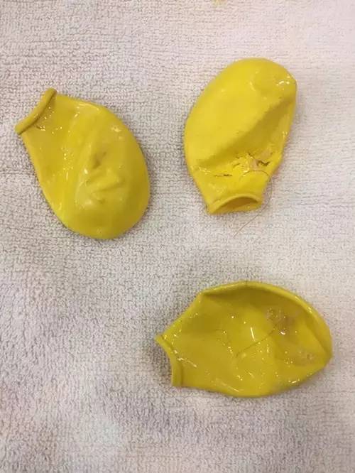 D136-狗吐了一只鞋，还有三只消失了，怎么破？