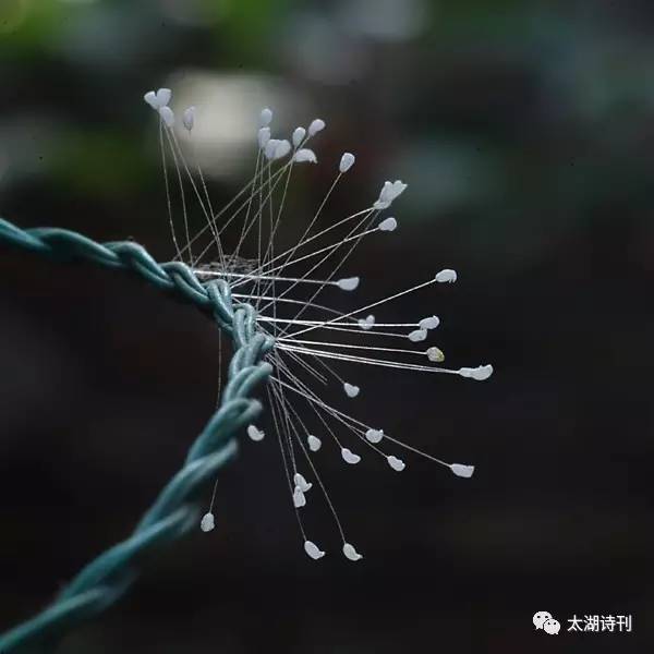 这场爱情没结果,这场爱究竟错在了何处小说