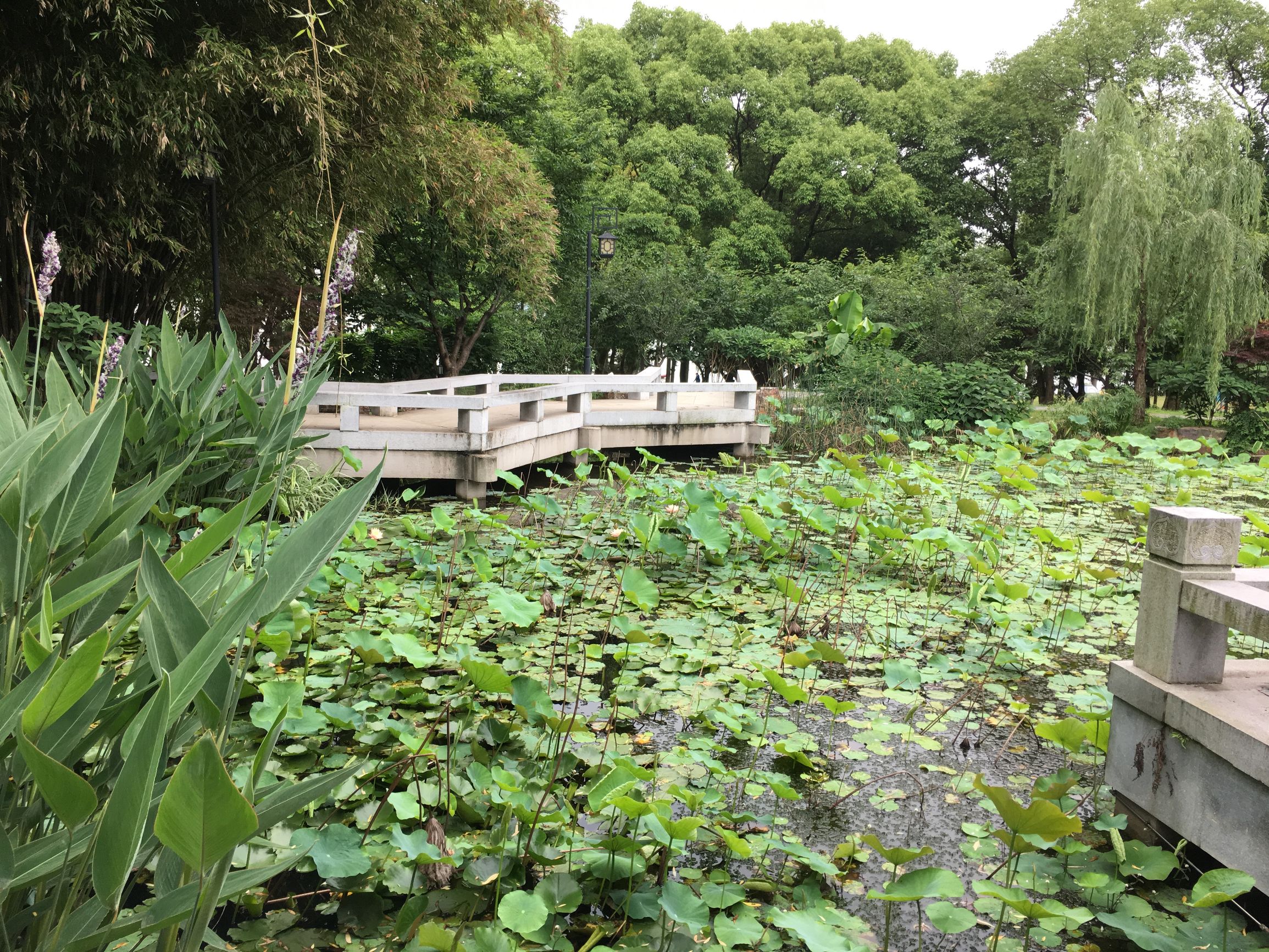 利刃出击特警抓住严小雨,人民的名义利剑行动刘新建