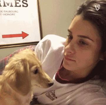 教大家如何用牙膏,牙膏怎么催眠