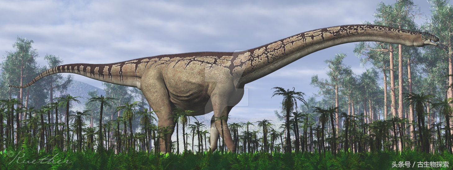 能源巨龙——富塔隆柯龙