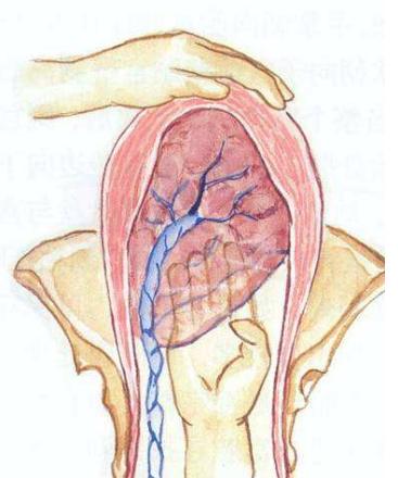 自然分娩讲解,自然分娩的三个产程