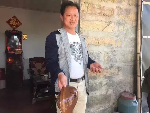 海螺吐出龙珠的视频,海螺吃出天价龙珠