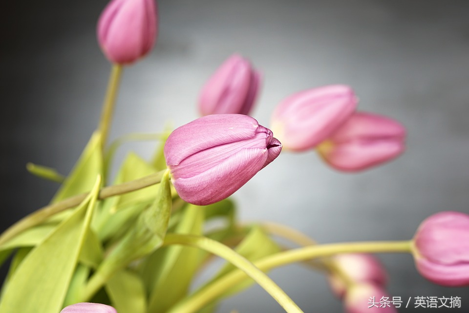 今生只爱你30集完整版,今生只爱你歌曲